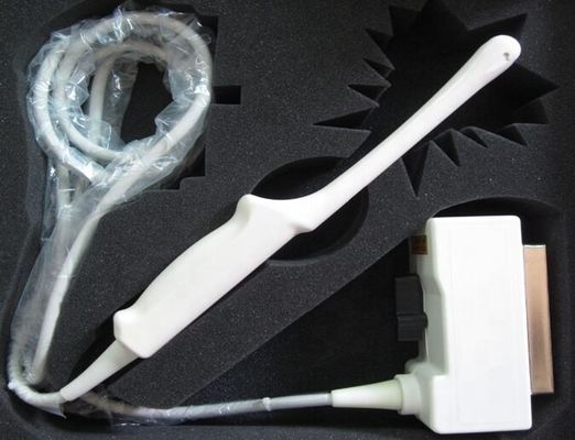 Esaote EC123 Sonda de Ultrassonografia Transvaginal Instrumento de Classe II com Imagem Reforçada